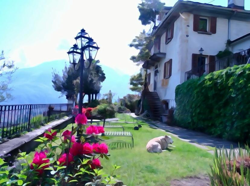 B&B Villa Moro - Family House Domodossola Eksteriør bilde